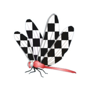 Checkerboard Dragonfly